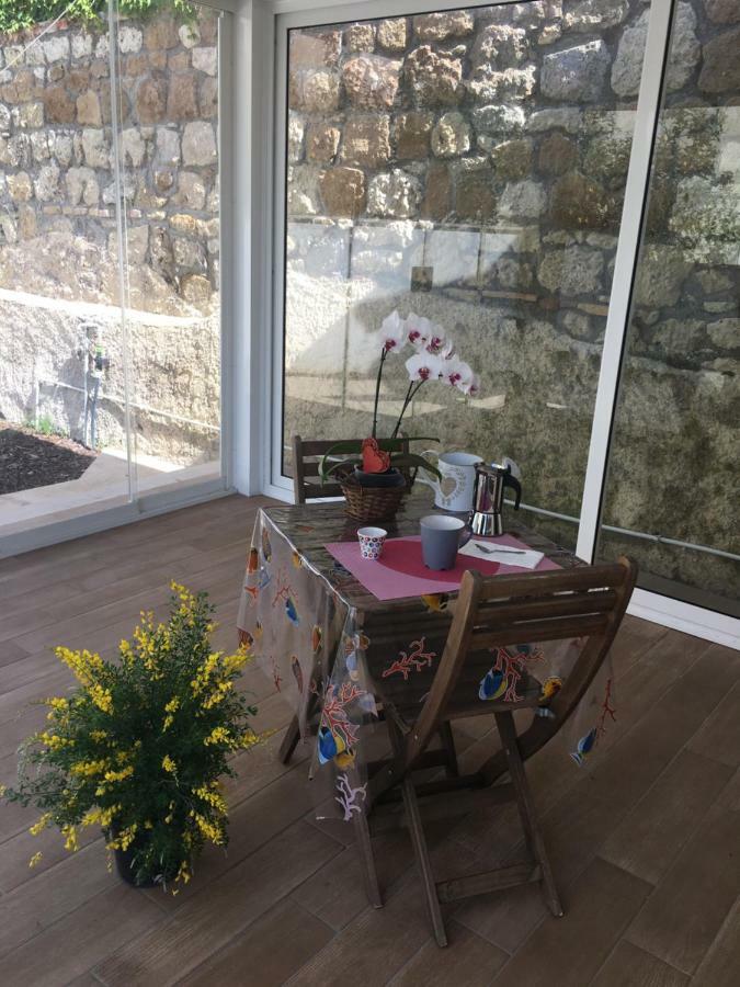 The Shabby House - Charming Seaside Retreat In Central Anzio, Steps From Beach And Train Station מראה חיצוני תמונה