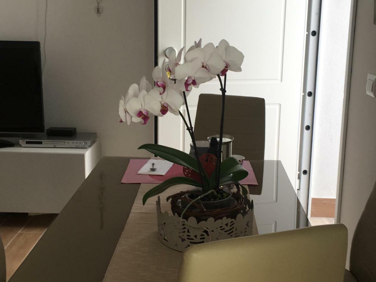 The Shabby House - Charming Seaside Retreat In Central Anzio, Steps From Beach And Train Station מראה חיצוני תמונה